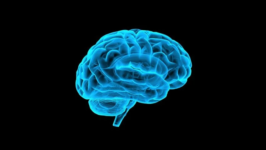 Art of First Principles